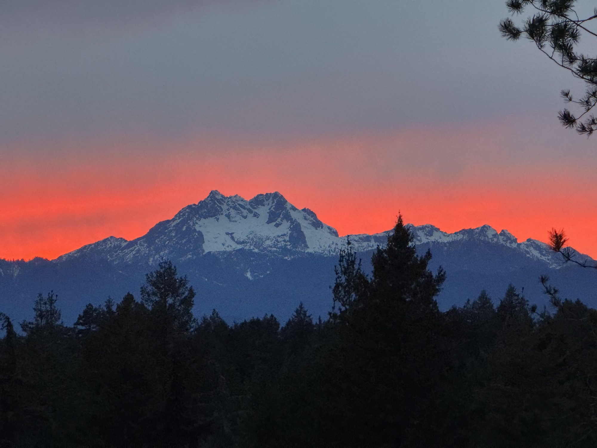 The Olympic mountains at sunset, from home
